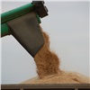 Аграрии Красноярского края намолотили первый миллион тонн зерна