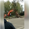 Ради парковки на Татышеве вырубят 100 деревьев (видео)