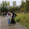 На «Дне Енисея» волонтеры собрали 5 тонн мусора 