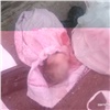 В Абакане полицейские разыскали мать выброшенной на мусорку новорожденной девочки