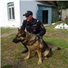 В Канске полицейские собаки Криста и Бэйлис помогли поймать распространителей наркотиков