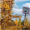 Синоптики: в середине октября в Красноярске установится минусовая температура