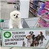 «За три недели мы не получили жалоб»: в красноярских гипермаркетах разрешили возить собак в тележках