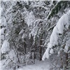 Ветер и мокрый снег задержатся в Красноярске минимум на сутки