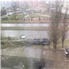 В Шарыпово сильный ветер уронил взрослый тополь на крыши автомобилей