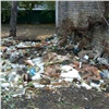 «Вывезли 260 КамАЗов мусора»: Центральный район Красноярска избавили от стихийных свалок