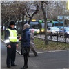 Красноярским пешеходам и водителям устроили сеанс «шокотерапии» (видео)
