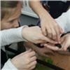 В красноярской школе развели тараканов