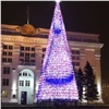 Жителям Кузбасса объяснили покупку ёлки за 18 млн рублей (видео)
