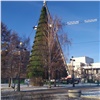 На Театральной площади Красноярска собрали 46-метровую новогоднюю ёлку