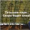 На Татышеве в Красноярске собрали самую высокую городскую ёлку (видео)