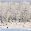 На неделе жители Красноярска не увидят солнца: в городе будет облачно и в меру морозно