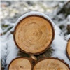Предприниматели в Красноярском крае «забыли» заплатить 215 млн таможенных платежей при экспорте леса