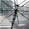 «Дождь и тепло»: в последние выходные января красноярцам обещают весеннюю оттепель