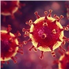 Роспотребнадзор официально подтвердил наличие коронавируса у четырех красноярцев