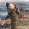 За сутки в Красноярском крае дважды горел лес из-за пала сухой травы (видео)