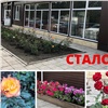 Красноярский предприниматель превратил свалку в клумбы с розами
