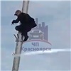 На Копылова мужчина гулял по перилам моста и залез на столб (видео)