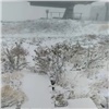 На популярном у красноярцев горнолыжном курорте выпал снег (видео)