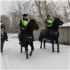 В Красноярском крае мужчина с марихуаной не смог убежать от полицейских на лошадях