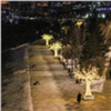 На набережных Красноярска впервые «зажглись» светящиеся деревья