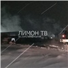 За сутки в Красноярском крае погибло в пожарах 4 человека. Двое из них сгорели на китайской лесопилке 