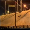 Дети устроили опасную горку на склоне Николаевского проспекта в Красноярске (видео)