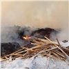 Красноярская прокуратура приостановила работу лесопилки из-за сжигания отходов вблизи села