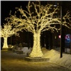 С улиц Красноярска убирают светящиеся деревья 