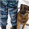 В Красноярске служебная собака помогла найти украденные ковер и холодильник