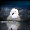 У медведей в красноярском зоопарке начался купальный сезон (видео)