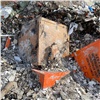 На свалке в Красноярске обнаружили контейнеры с химическими отходами. Правоохранители ищут хозяев (видео)