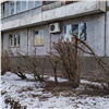 В Красноярске завершили плановую обрезку деревьев. До осени можно убирать только сухие или опасные ветки