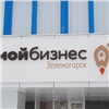 Для предпринимателей Зеленогорска откроют филиал центра «Мой бизнес»