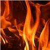 Нетрезвые жители Козульского района устроили пожар в своем доме и погибли