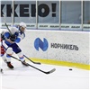 Команда из Норильска одержала победу в корпоративном турнире «Норникеля» по хоккею 