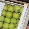 В Красноярск привезли 20 тонн зараженных фруктов из Киргизии. Их все пришлось уничтожить