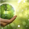 «Компании переходят к экологичному производству»: Сбер в Красноярске организовал сделку купли-продажи «зеленых» сертификатов