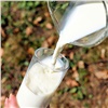 Максимальные показатели за шесть лет: Красноярский край увеличил экспорт молочной продукции