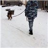 В Красноярске собака-ищейка за несколько минут вывела полицейских на след уличного грабителя 