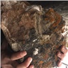 «Несся, как метеорит»: на лестнице Торгашинского хребта камень чуть не упал на туристов и погнул ограждение
