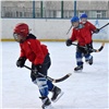 В Ленинском районе Красноярска на 12 дворовых спортплощадках всех желающих учат играть в хоккей