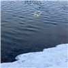 Красноярские волонтеры-поисковики впервые опробовали подводный дрон в зимних условиях и рассказали о впечатлениях 
