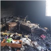 В Емельяновском районе следователи возбудили уголовное дело о гибели младенца во время пожара
