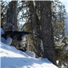 Военнослужащие на лыжах из засады уничтожили «противника» в Ергаках 
