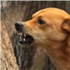 Красноярка пострадала от нападения охраняющих штрафстоянку собак 