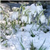 «Погода напомнит, что март в России — зимний месяц»: на неделе красноярцам обещают до −20 °C