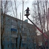 В Красноярске началась весенняя обрезка деревьев