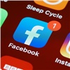 Генпрокуратура России требует ограничить доступ к Facebook и Instagram 