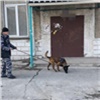 В Ачинском районе полицейский пес Зигер помог раскрыть кражу 145 тысяч рублей